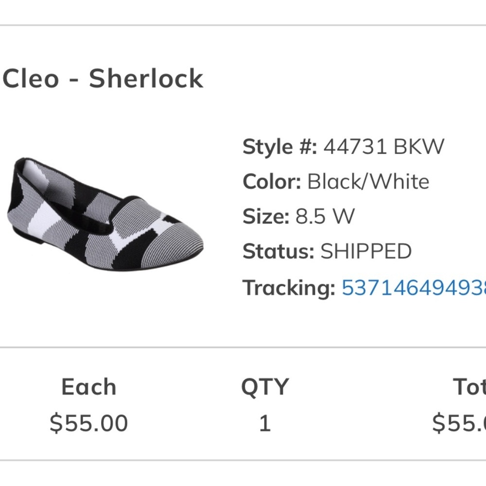 Brand new flat Skechers